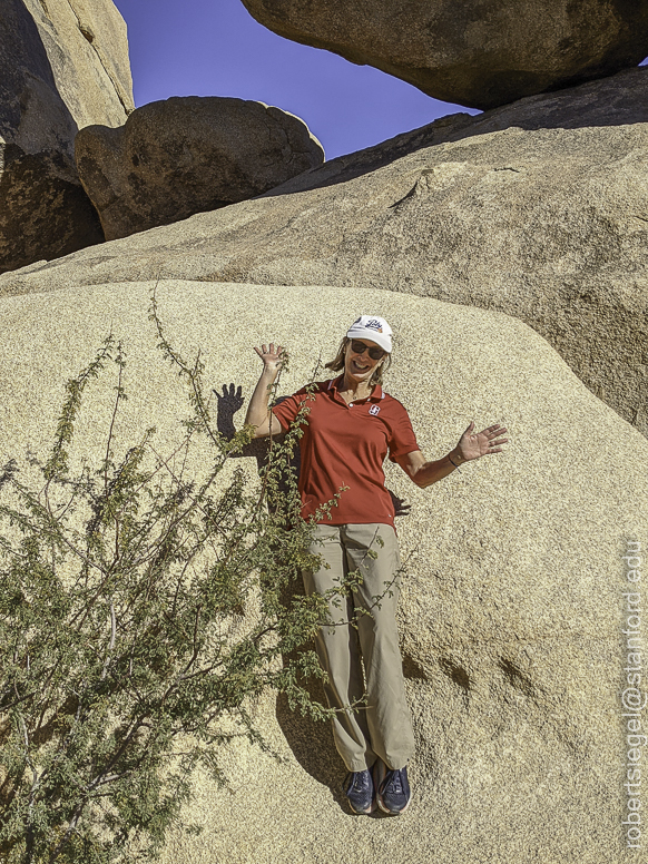 Joshua Tree National Park